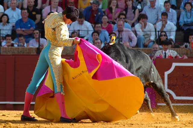 Arturo Saldívar se estira con gusto con el capote. (FOTO: Matito)