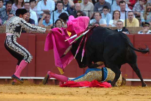 Curro Robles le echó el capote a la cara y evitó la cornada.