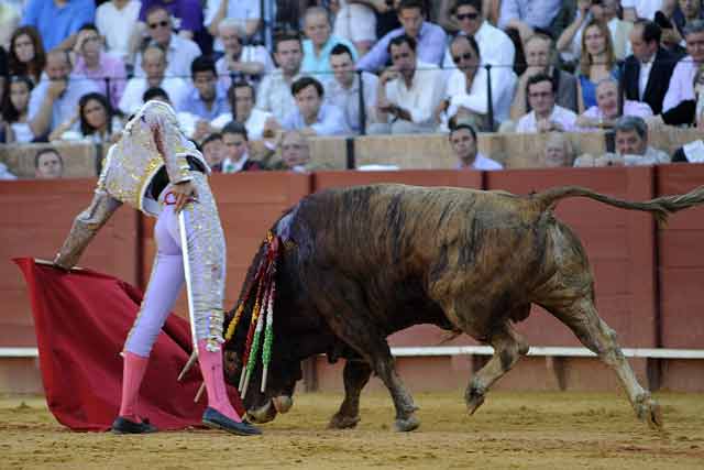 Martín Núñez con el cuarto. (FOTO: Sevilla Taurina)