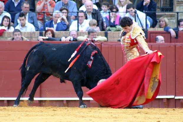 A pesar de que quedó dolorido de una rodilla dejó muletazos como este.