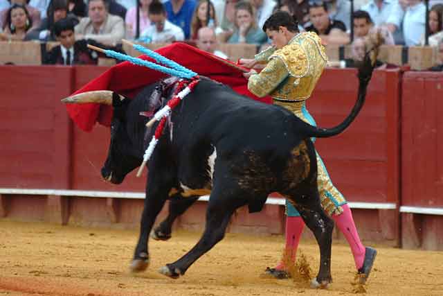 Pase de pecho de Arturo Saldívar al cuarto del festejo.