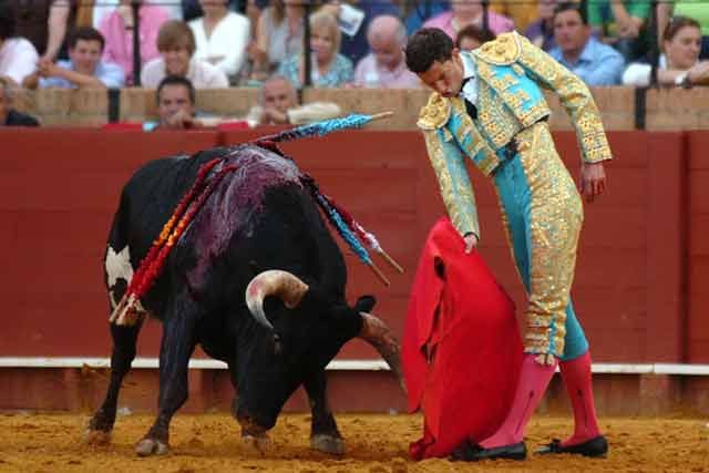 Algunos detalles de calidad del novillero de Aguascalientes.