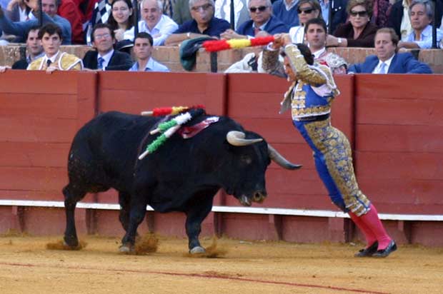 Arriesgando por los adentros tras el quiebro en las tablas.