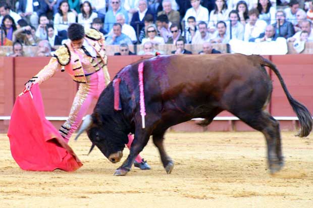 Antonio Rosales, con el tercer utrero de Yerbabuena. (FOTO: Javier Martínez)