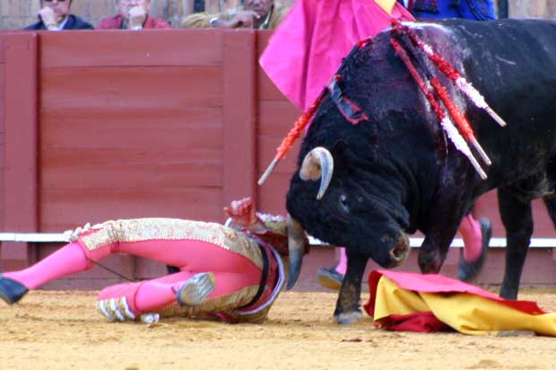 Todo indicaba que llevaba una cornada grave el joven francés.