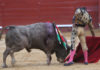 Morante toreando al buen toro de Cuvillo esta tarde en Jerez. (FOTO: desdelcalleon.com)