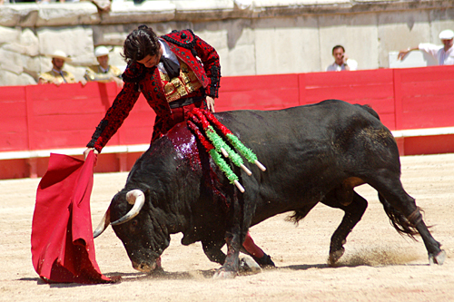 FOTO: Golfredo Rojas (burladero.com)