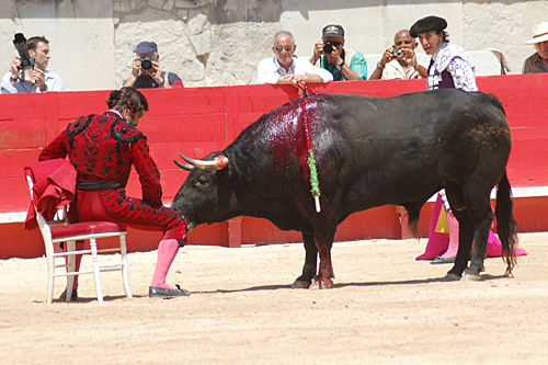 FOTO: Golfredo Rojas (burladero.com)