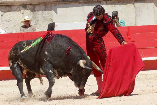 FOTO: Golfredo Rojas (burladero.com)