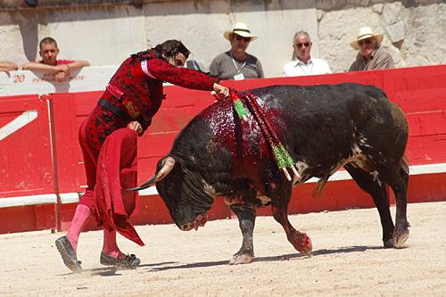 FOTO: Golfredo Rojas (burladero.com)