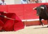 Morante citando al toro sentado en una silla. (FOTO: Golfredo Rojas / burladero.com)