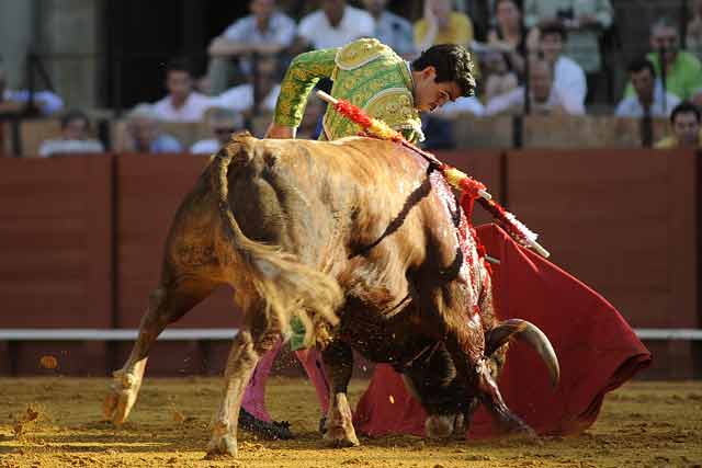 Iniciando la faena al novillo de El Serrano.