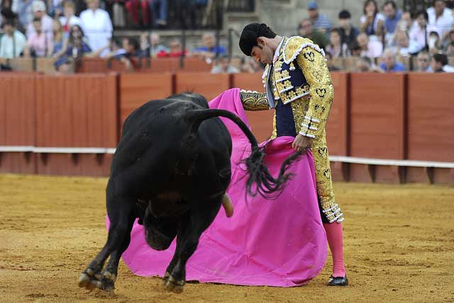 El Nico se abre de capote en su primer novillo.