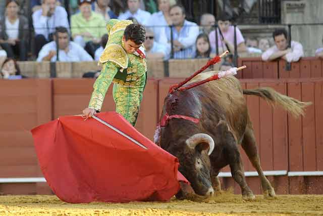 El torero se entona por el lado derecho.