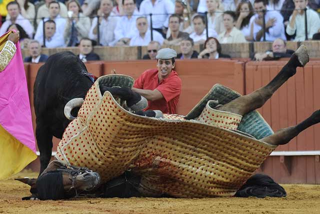 Uno de lo caballos de picar sufrió una cornada en el costado.