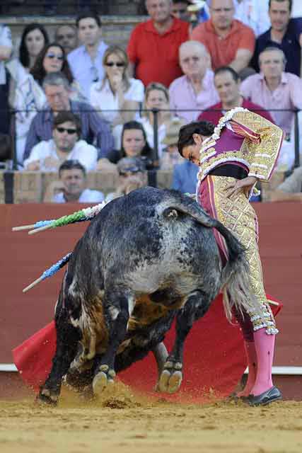 Uceda Leal en un derechazo ajustado. (FOTO: Sevilla Taurina)