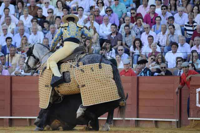 ¿Un toro jugando al escondite?