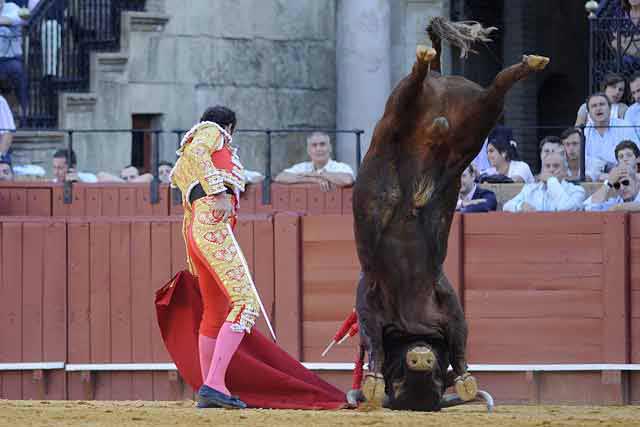 ¿Un toro olímpico?