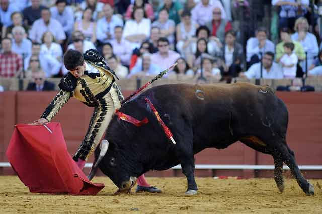 Larguísimo derechazo de José Arévalo. (FOTO: Sevilla Taurina)