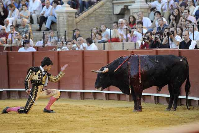 Con el novillo dominado.