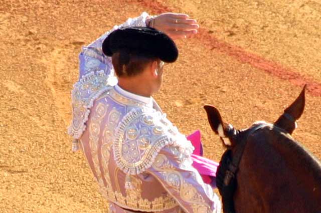 Buscando la raza perdida de los toros de Martín Lorca.