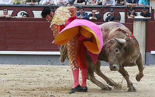 FOTO: Cabrera / burladero.com