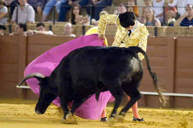 Fernando Adrián. (FOTO: Sevilla Taurina)