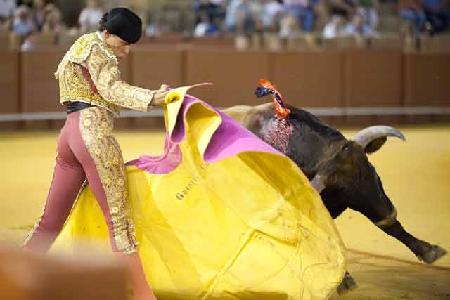 Cristian Chía. (FOTO: Sevilla Taurina)