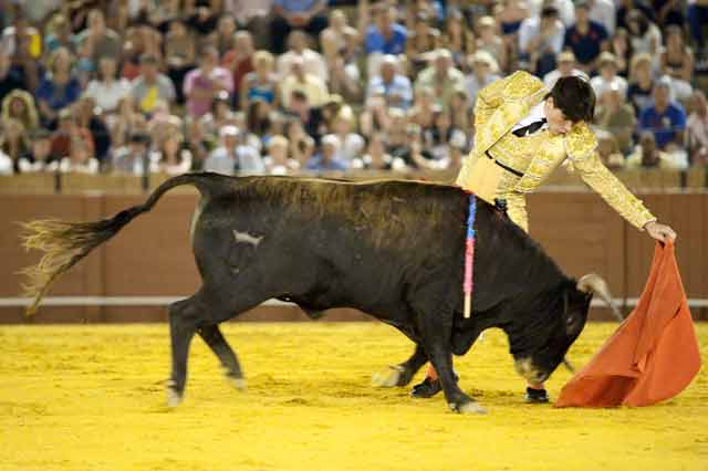 Borja Álvarez. (FOTO: Sevilla Taurina)