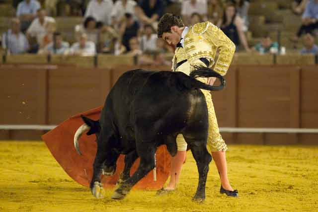 Fernando Adrián. (FOTO: Sevilla Taurina)