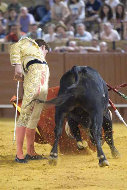 Fernando Adrián. (FOTO: S.T.)