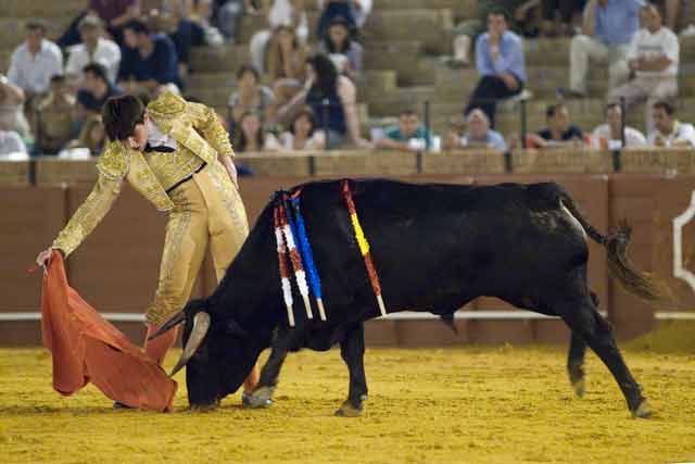 Borja Álvarez. (FOTO: Sevilla Taurina)