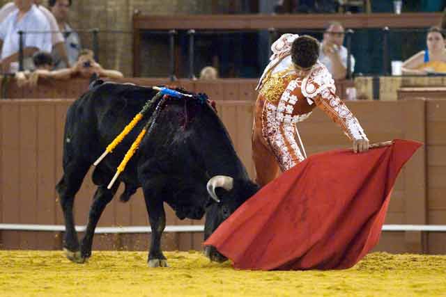 Rafael Cerro. (FOTO: Sevilla Taurina)