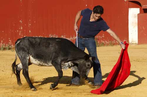 Alexander Fiske embarca con la izquierda a una vaca de Miura. (FOTO: Pepe Sánchez / Toros para todos-Canal Sur)