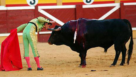 Daniel Luque muerde el pitón del toro ayer en Tudela. (FOTO: José Luis Mena / burladero.com)