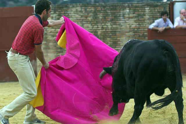 Luis Mariscal pone en suerte al toro en una prueba en el campo de su hermano Salvador Cortés. (FOTO: Matito)