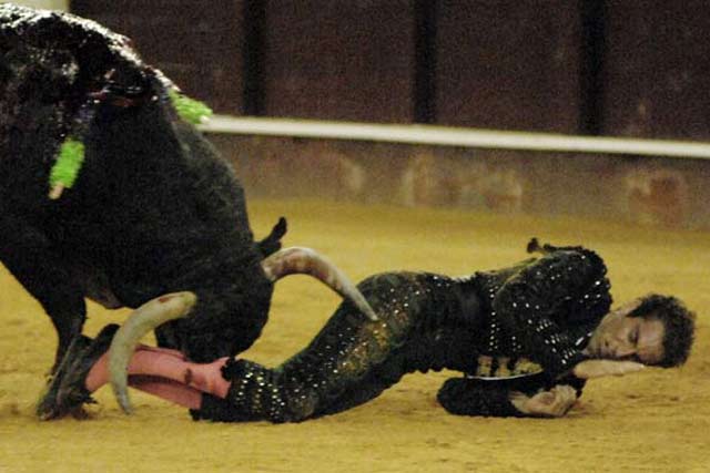 En la temporada 2007, Salvador Cortés es corneado en la Feria de Málaga. (FOTO: burladero.com)