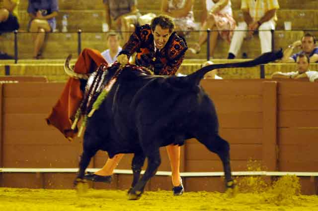 FOTO: Sevilla Taurina.