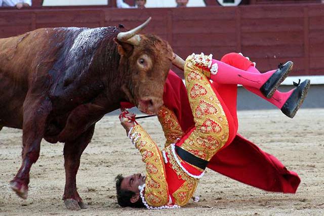 De pronto, la voltereta y Salvador Cortés a merced del astifino toro. (FOTO: las-ventas.com)