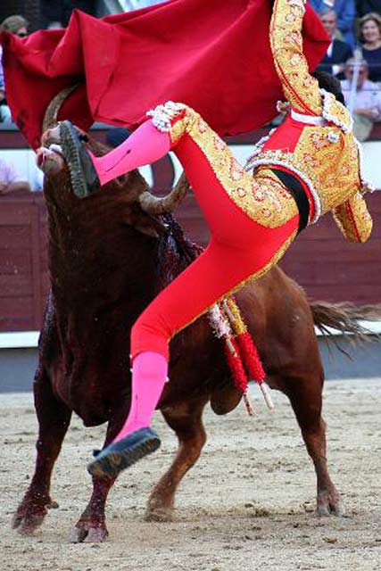 Cornada grave en el muslo izquierdo del bravo torero sevillano. (FOTO: las-ventas.com)