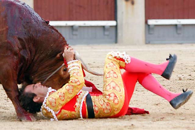 El toro lo zarandea de pitón a pitón... Luis Mariscal, el hermano y banderillero protector, ya está en camino. (FOTO: las-ventas.com)