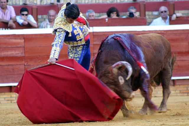 Domingo 1 de agosto / FOTO: Javier Martínez.