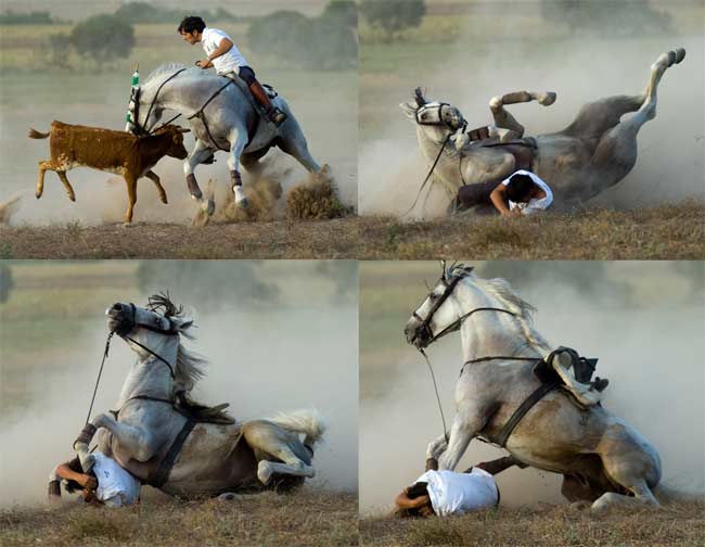 Secuencia de la caída del rejoneador sevillano Diego Ventura en el campo. (FOTO: Toromedia)