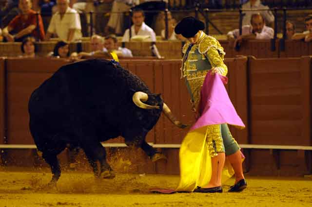 Luis Vilches. (FOTO: Sevilla Taurina)