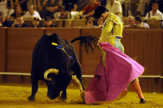 Luis Vilches. (FOTO: Sevilla Taurina)