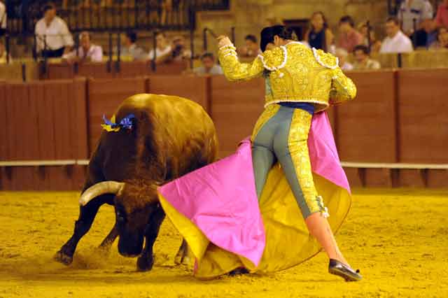 Luis Vilches. (FOTO: Sevilla Taurina)