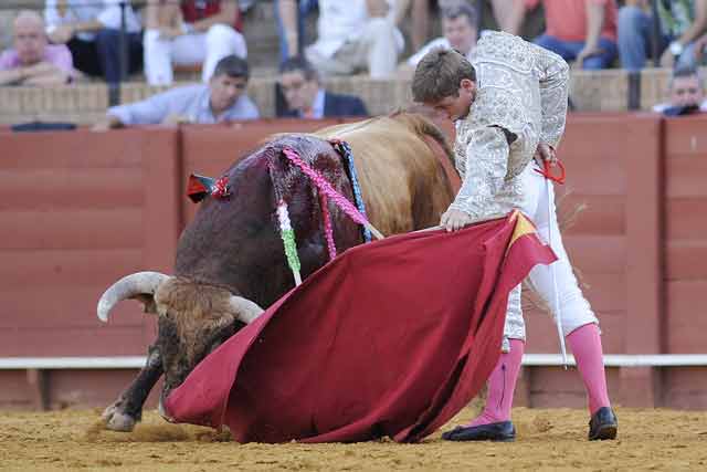 Nuno Casquinha. (FOTO: Sevilla Taurina)