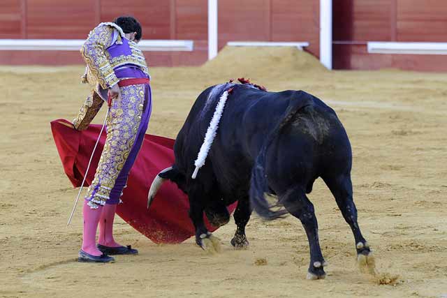 Luis Vilches. (FOTO: Matito)