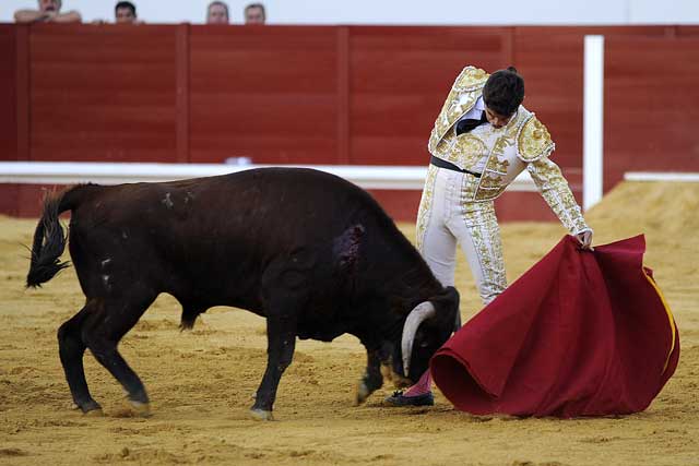 Miguel Falcón. (FOTO: Matito)