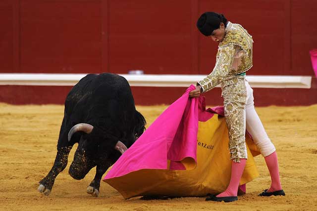 Fernando González. (FOTO: Matito)